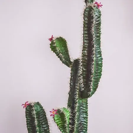 Hotel Cesare Augustus 4*